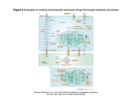 Nat. Rev. Clin. Oncol. doi: /nrclinonc