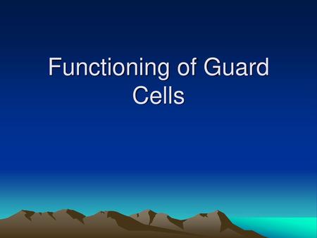 Functioning of Guard Cells