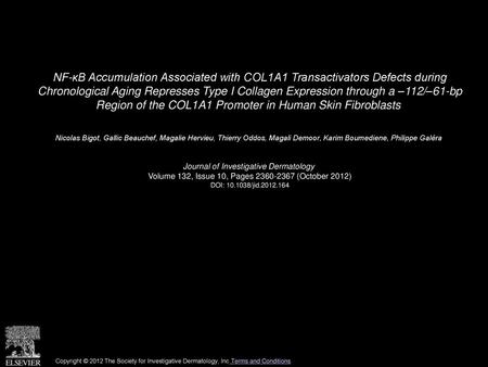 NF-κB Accumulation Associated with COL1A1 Transactivators Defects during Chronological Aging Represses Type I Collagen Expression through a –112/–61-bp.