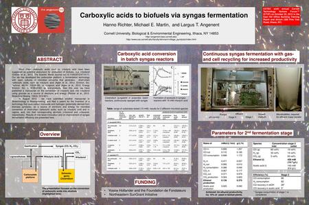 Carboxylic acids to biofuels via syngas fermentation