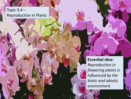 Topic 9.4 – Reproduction in Plants