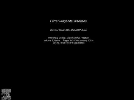 Ferret urogenital diseases