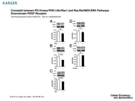 Cell Physiol Biochem 2013;31: DOI: /