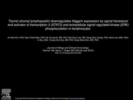 Thymic stromal lymphopoietin downregulates filaggrin expression by signal transducer and activator of transcription 3 (STAT3) and extracellular signal-regulated.