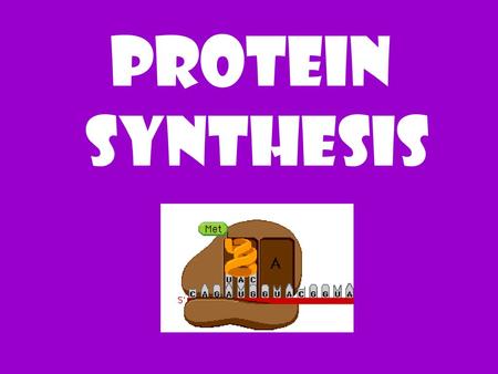 PROTEIN SYNTHESIS.