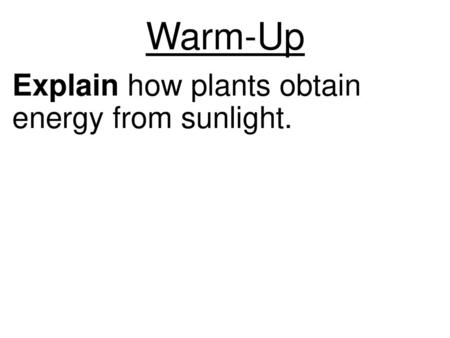 Warm-Up Explain how plants obtain energy from sunlight.