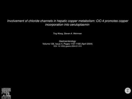 Involvement of chloride channels in hepatic copper metabolism: ClC-4 promotes copper incorporation into ceruloplasmin  Ting Wang, Steven A. Weinman  Gastroenterology 