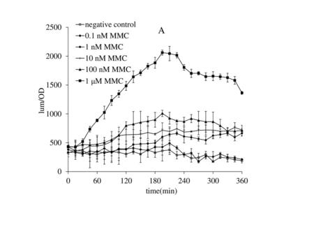 Figure S1. The kinetic curve of the bioluminescence response of the E