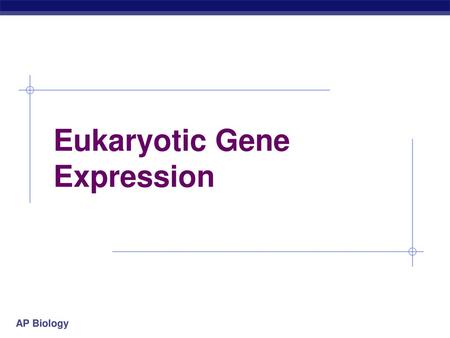 Eukaryotic Gene Expression