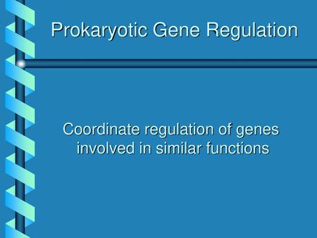 Prokaryotic Gene Regulation