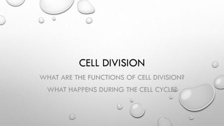 Cell Division What are the functions of cell division?