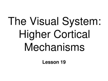 The Visual System: Higher Cortical Mechanisms