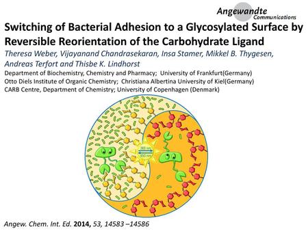 Switching of Bacterial Adhesion to a Glycosylated Surface by