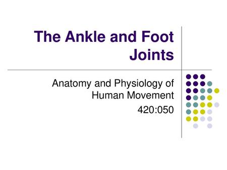 The Ankle and Foot Joints