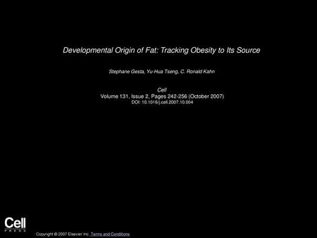 Developmental Origin of Fat: Tracking Obesity to Its Source