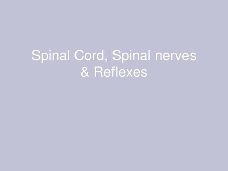 Spinal Cord, Spinal nerves & Reflexes