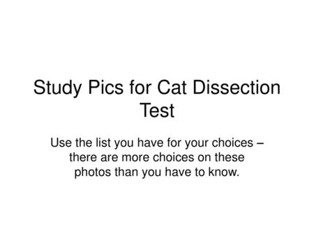 Study Pics for Cat Dissection Test