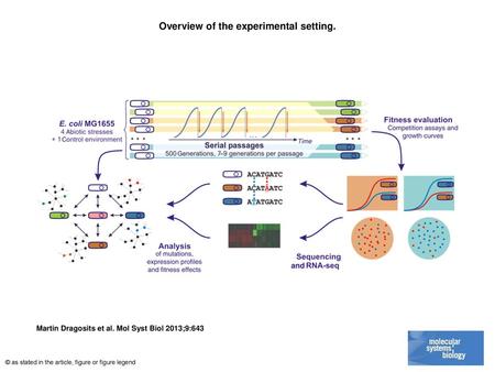 Overview of the experimental setting.