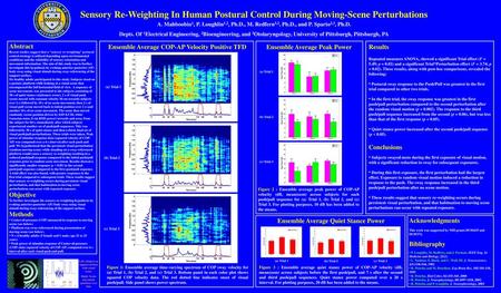 11/24/2018 Sensory Re-Weighting In Human Postural Control During Moving-Scene Perturbations A. Mahboobin1, P. Loughlin1,2, Ph.D., M. Redfern3,2, Ph.D.,