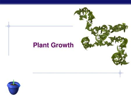 Plant Growth.