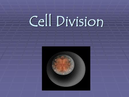 Cell Division.