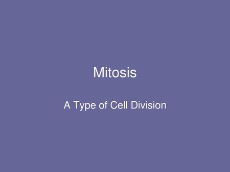 Mitosis A Type of Cell Division.