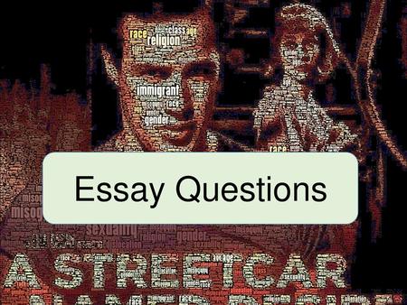 Essay Questions.