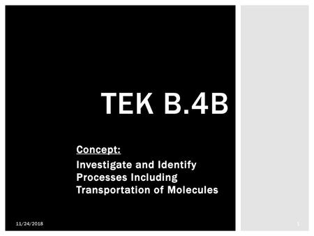 TEK B.4B Concept: Investigate and Identify Processes Including Transportation of Molecules 11/24/2018.