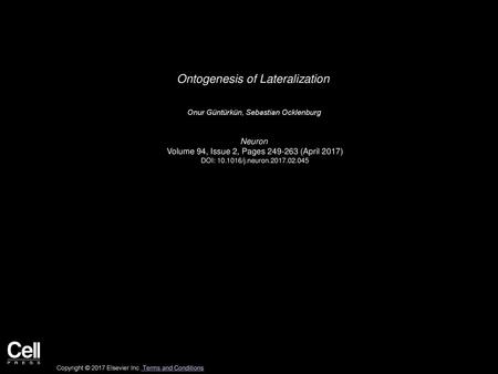 Ontogenesis of Lateralization