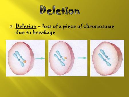 Deletion Deletion – loss of a piece of chromosome due to breakage.