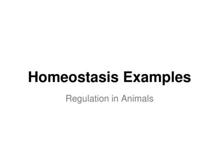 Homeostasis Examples Regulation in Animals.