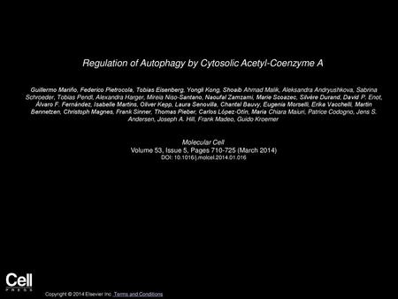 Regulation of Autophagy by Cytosolic Acetyl-Coenzyme A