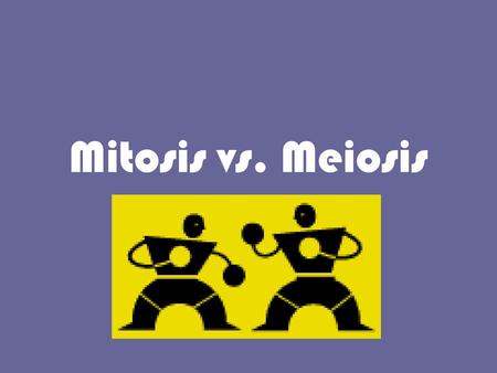 Mitosis vs. Meiosis.