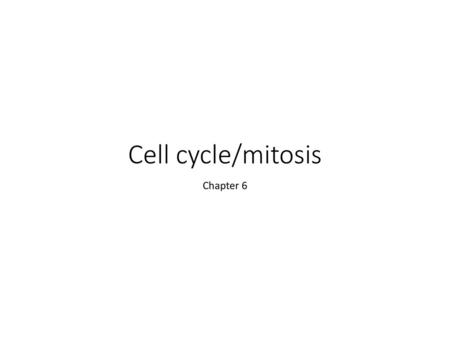 Cell cycle/mitosis Chapter 6.