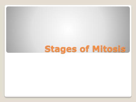 Stages of Mitosis.