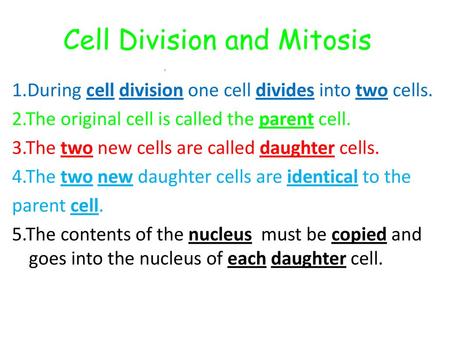 Cell Division and Mitosis