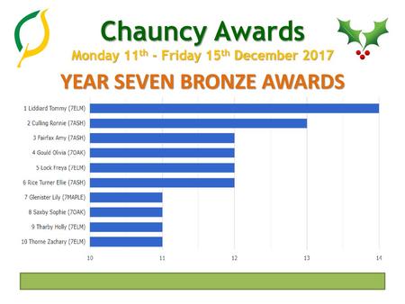 YEAR SEVEN BRONZE AWARDS