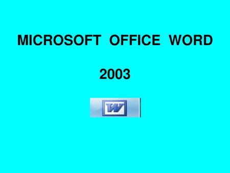 MICROSOFT OFFICE WORD 2003.