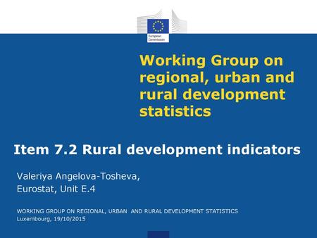 Working Group on regional, urban and rural development statistics