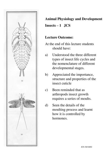 Animal Physiology and Development Insects – 1 JCS