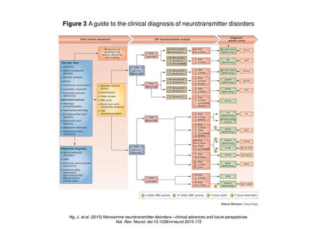 Nat. Rev. Neurol. doi: /nrneurol