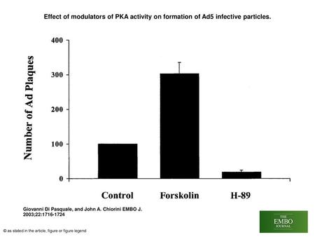 Effect of modulators of PKA activity on formation of Ad5 infective particles. Effect of modulators of PKA activity on formation of Ad5 infective particles.