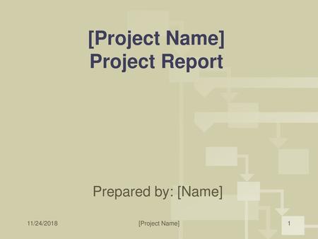 [Project Name] Project Report