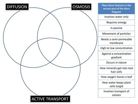 Place these features in the correct part of the Venn Diagram