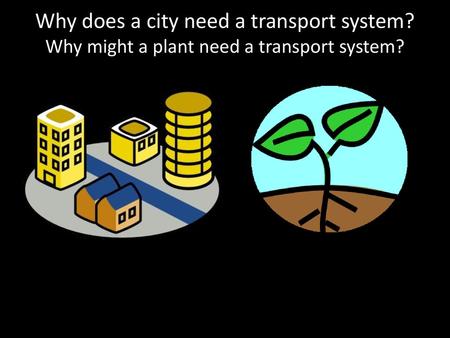 Why does a city need a transport system