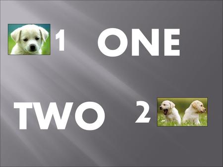 1 ONE 2 TWO.