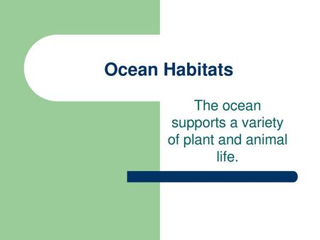 The ocean supports a variety of plant and animal life.