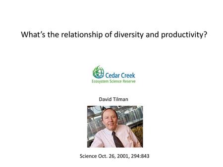 What’s the relationship of diversity and productivity?