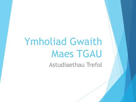 Ymholiad Gwaith Maes TGAU