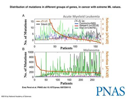 Distribution of mutations in different groups of genes, in cancer with extreme ML values. Distribution of mutations in different groups of genes, in cancer.